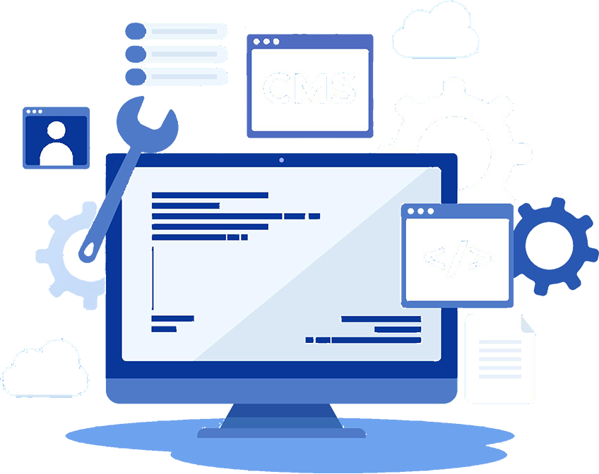 custom software solutions cms